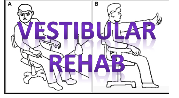 vestibular balance rehab